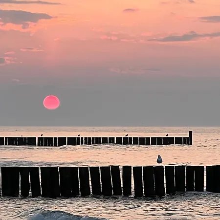 公寓 Dominikana Blisko Morza