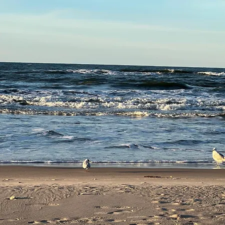 Dominikana Blisko Morza * 辛安诺泽蒂