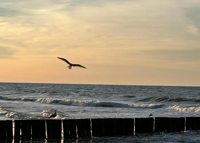 Dominikana Blisko Morza *